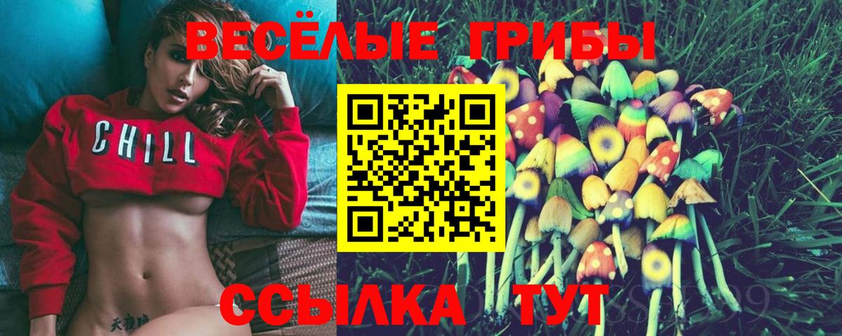 Галлюциногенные грибы прущие грибы  Вход с VPN  Псилоцибиновые грибы GOLDEN TEACHER  Орехово-Зуево 